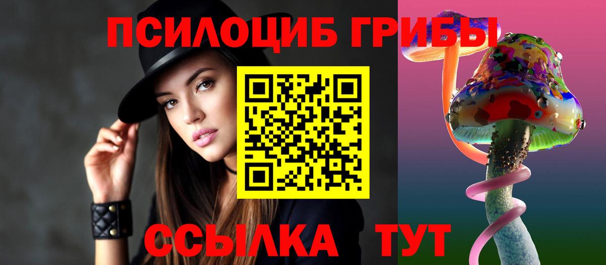 Трёхгорный  купить наркотики сайты  Вход с VPN  Галлюциногенные грибы Cubensis 